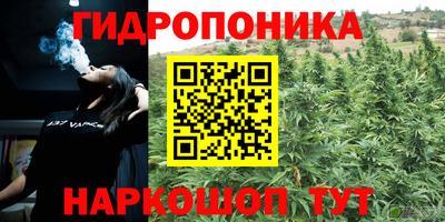 МДПВ Ливны