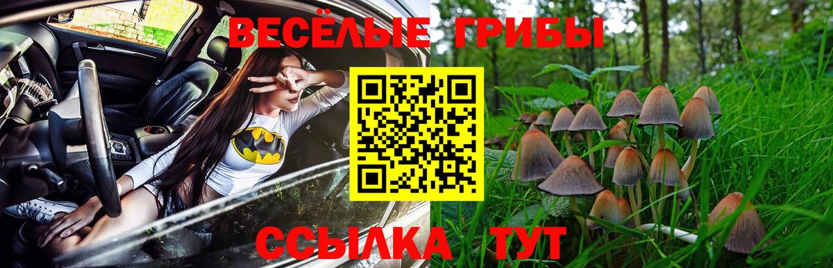 Псилоцибиновые грибы Magic Shrooms  Псилоцибиновые грибы Magic Shrooms  Хасавюрт  Вход с VPN 